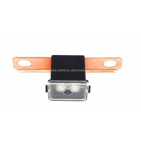 Pojistka automobilní 80A černá, 191972